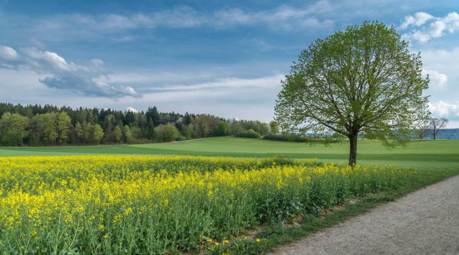 Oferujemy szeroką gamę opcji wynajmu samochodów w Opfikonie